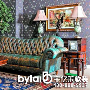 ELENA��(��i)����ɳ�l(f��)�w�F(xi��n)���W���ŵ�Ҿ߽�(j��ng)��ĵ���֮����