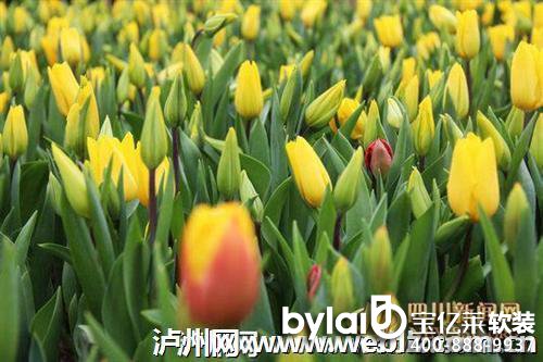 ����(ji��)ȥ�Ƴǘ��@����ˇ��չ �s����