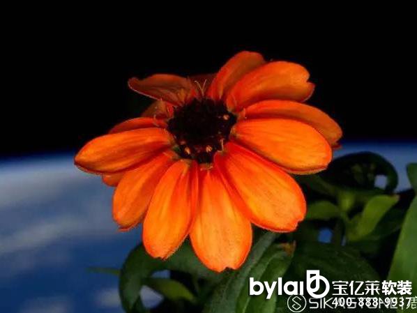 ���܇��H��ˇҪ|¹ʯ��(b��o)��-2016.01.25