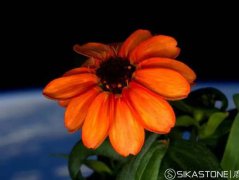 ���܇��H��ˇҪ|¹ʯ���-2016.01.25