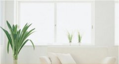 �V����Ʒ�ܛ�b���M(f��i)�ᳱ�����������c(di��n)���а��R��