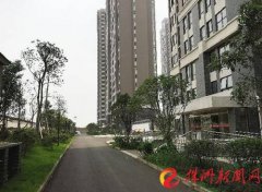 <b>���|�R����1968��ס�����y��ͥ���������ס�������</b>