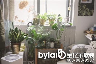 �@�ӵ�������B(y��ng)��