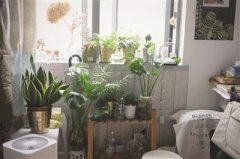 ���|�R���W���������� �W(w��ng)�Ѻ��������ס(�D)