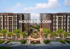 ���|�R�f�ƳǼs89?�����סʾ���g�����`��