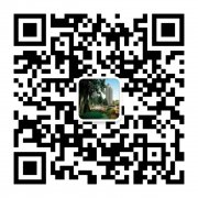 ���|�R�����ɽˮ�� �׸��H��5�f�𼴿��p�������ס(�D)