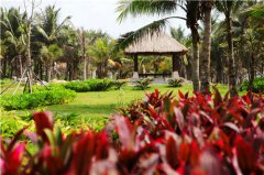 ���|�R�����(y��ng)�⺣��:һ�������ȼپC���w �����^���������ס