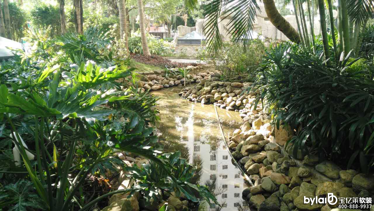 ����������ǱP(p��n)