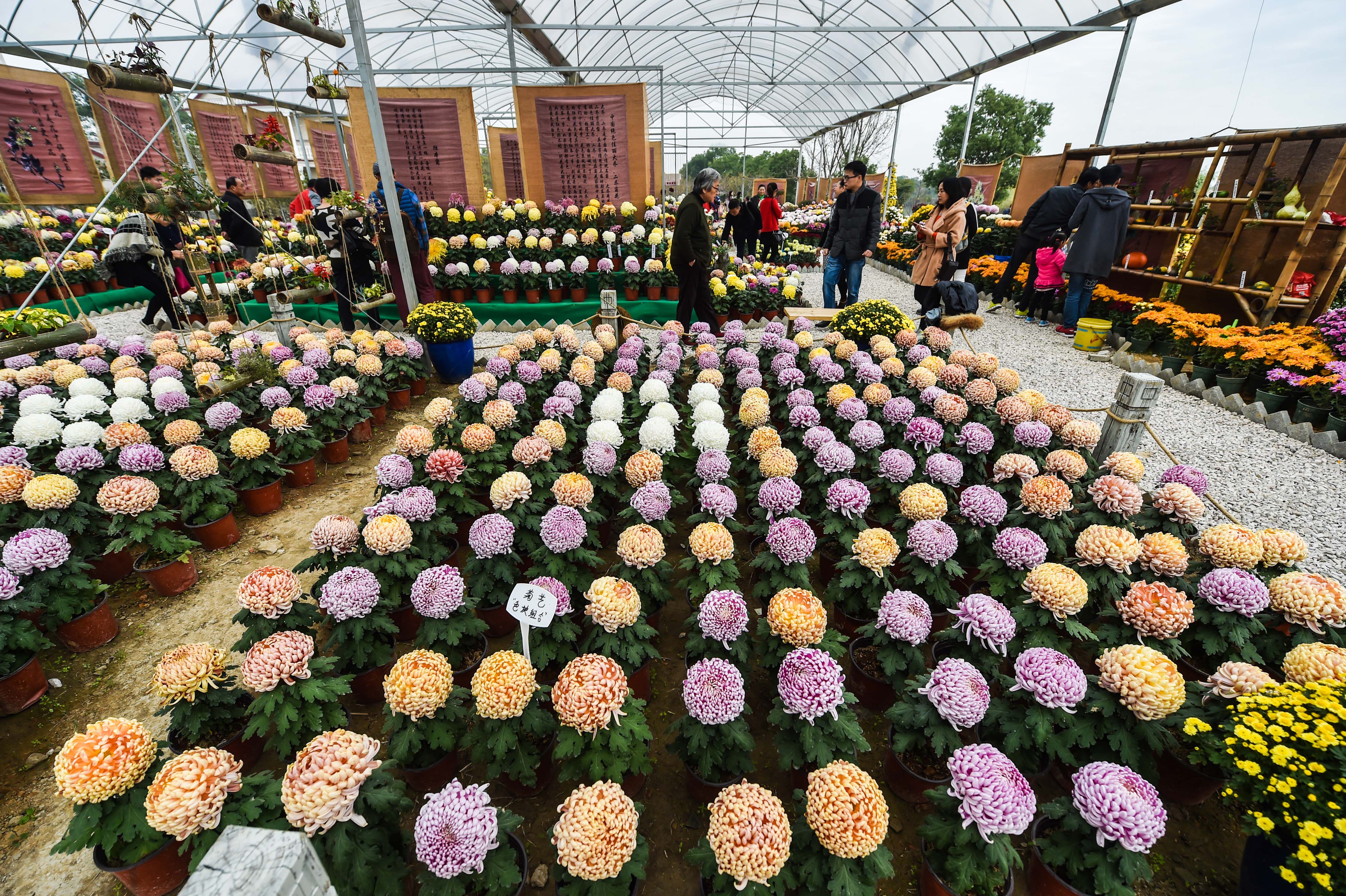 
ܛ�b�����^_���K�f��ջ����n�㽭�L�d����ˇС�(zh��n)��