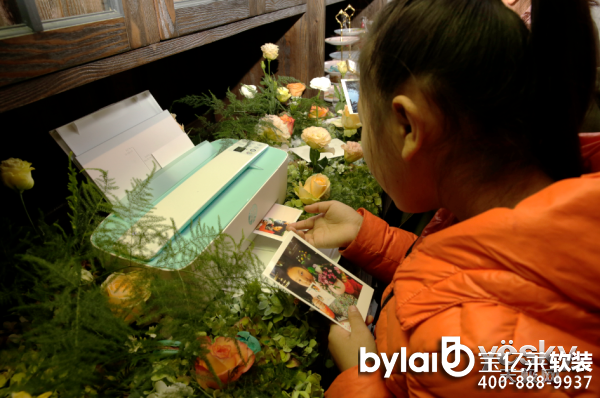 ������СQ����ī�ز� ��ˇ�n���I(l��ng)�Բ廨����