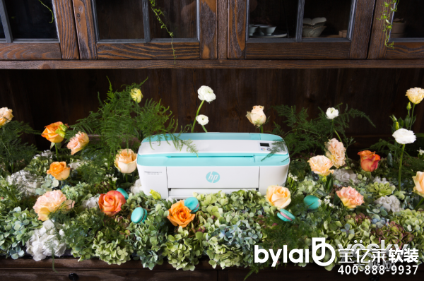 ������СQ����ī�ز� ��ˇ�n���I(l��ng)�Բ廨����