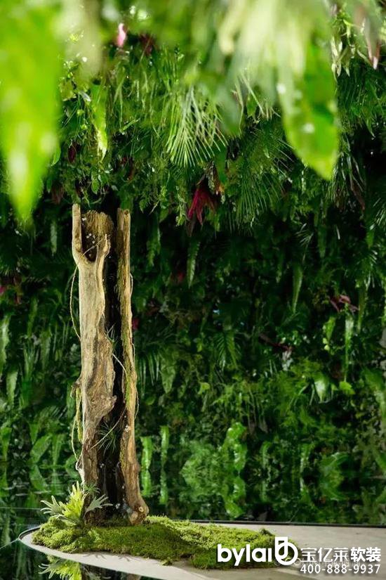 
ܛ�b�����^_�ӱ����g��ˇˇ�g(sh��)չ�_Ļ �ʬF(xi��n)���c���Ŀ�����