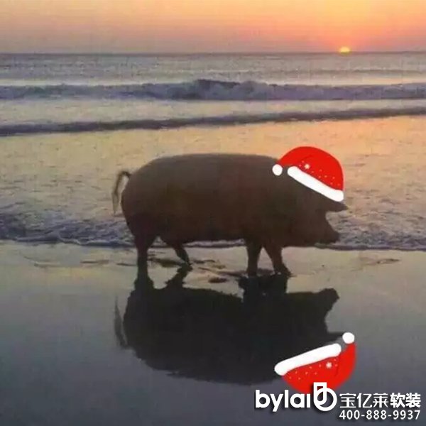 ���|�R�ڼ� | ��(ji��n)�sů�ıڼ�+����ħ���^������һ��ϲ�g��