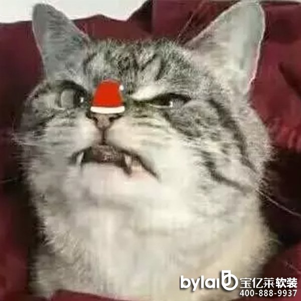 ���|�R�ڼ� | ��(ji��n)�sů�ıڼ�+����ħ���^������һ��ϲ�g��