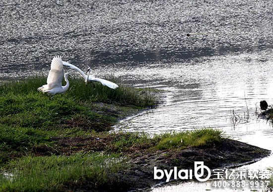 ��ӼҾ߳��򡰄�(chu��ng)����Ʒ�ơ��~�M