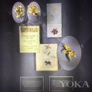 2016�Ї����H�Ҿ��O(sh��)Ӌ(j��)��(ji��) ��Ȼ֮��¡���e��