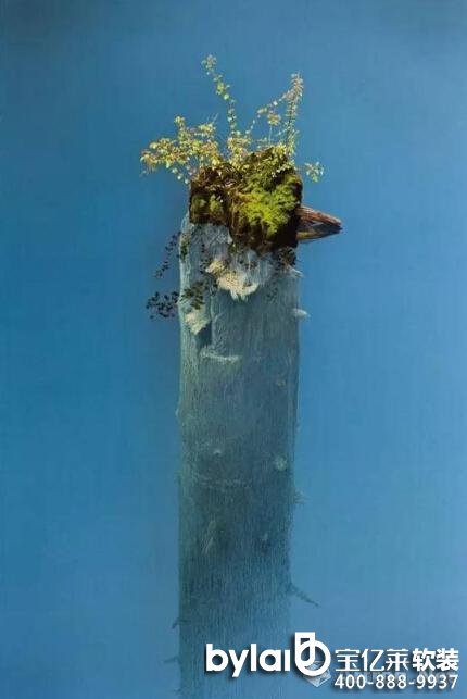 ���|�R�Ʒ��ô��_�Ї�(gu��)��(d��ng)����ˇ���g(sh��)�l(f��)չ֮˼