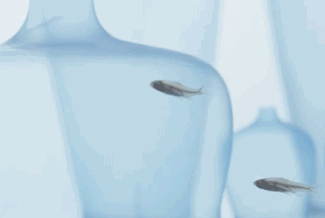 չӍح�O(sh��)Ӌ(j��)���L(f��ng)���(bi��o) �� 56 �����m��(gu��)�H�Ҿ�չ�_(k��i)չ