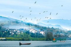 ǭ���^(q��)���B(t��i)��ؚ���w�c�� ���l(xi��ng)�v�����ס��һ�Nʲô�w