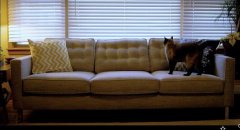 Furlencoռ�I(l��ng)�Ҿ����U�ИI(y��)��׌�����ס�ɞ����