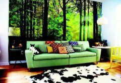 ܛ�b���ܛ�b�O(sh��)Ӌ������Ȼ���� ���S�r׃�������L(f��ng)��