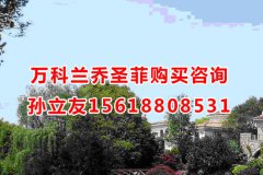 ���|�R���b�������ס2017���Ϻ������f���m��ʥ��