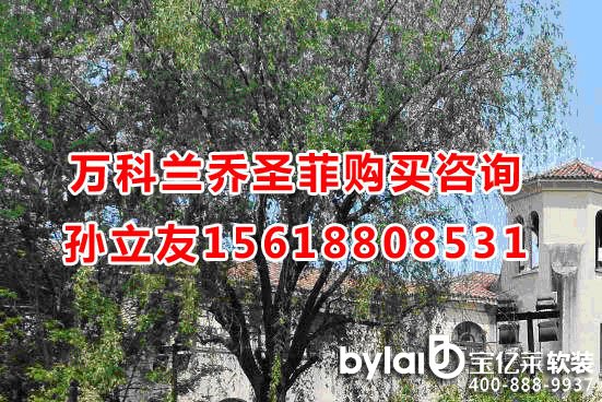 2017���Ϻ������f���m��ʥ��_���ַ�����