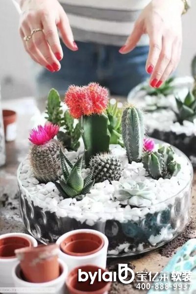 ܛ�b�^���ˣ�ܛ�b�Gֲ��ô�x���@�׷Nֲ��ÿ��ֽ���