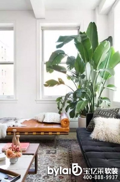 ܛ�b�^���ˣ�ܛ�b�Gֲ��ô�x���@�׷Nֲ��ÿ��ֽ���