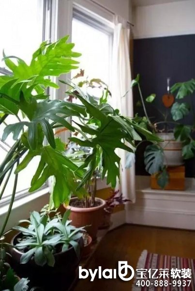 ܛ�b�^���ˣ�ܛ�b�Gֲ��ô�x���@�׷Nֲ��ÿ��ֽ���