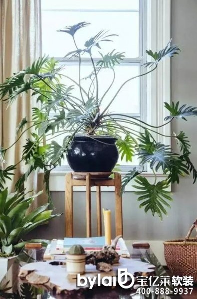 ܛ�b�^���ˣ�ܛ�b�Gֲ��ô�x���@�׷Nֲ��ÿ��ֽ���