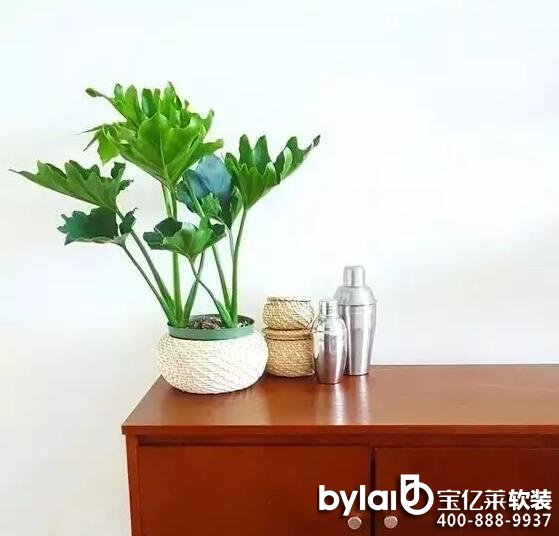 ܛ�b�^���ˣ�ܛ�b�Gֲ��ô�x���@�׷Nֲ��ÿ��ֽ���