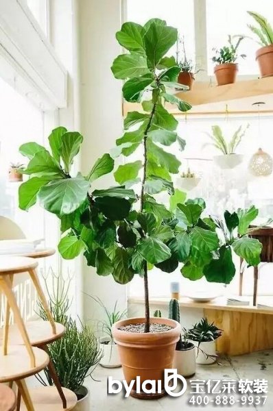 ܛ�b�^���ˣ�ܛ�b�Gֲ��ô�x���@�׷Nֲ��ÿ��ֽ���