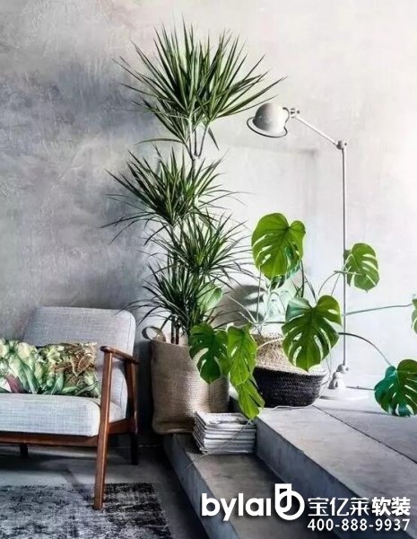 ܛ�b�^���ˣ�ܛ�b�Gֲ��ô�x���@�׷Nֲ��ÿ��ֽ���