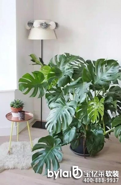 ܛ�b�^���ˣ�ܛ�b�Gֲ��ô�x���@�׷Nֲ��ÿ��ֽ���