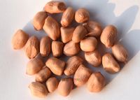 ܛ�b�^���ˣ�����خa(ch��n)��B