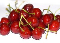 ܛ�b�^���ˣ�����خa(ch��n)��B