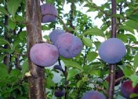 ܛ�b�^���ˣ�����خa(ch��n)��B