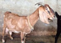 ܛ�b�^���ˣ�����خa(ch��n)��B