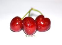 ܛ�b�^���ˣ�����خa(ch��n)��B