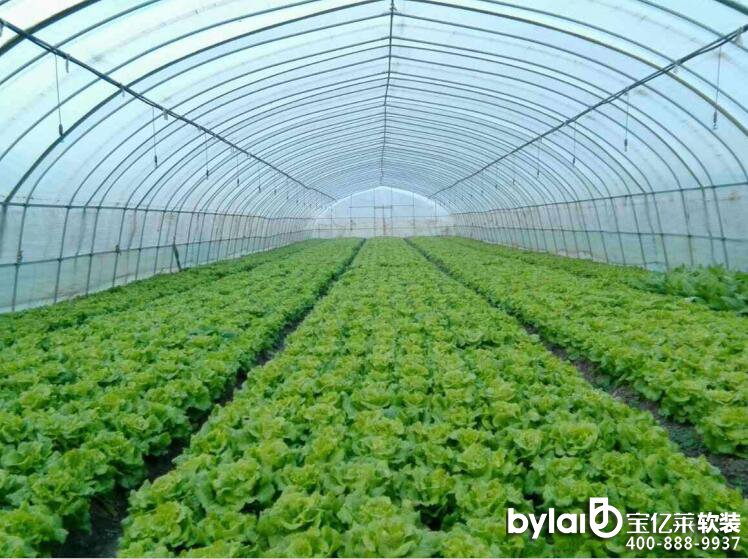 �Ĵ����Ҵ����N��