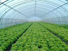 ܛ�b�^���ˣ��v���P(gu��n)���Ĵ����Ҵ���Ķ������෬�Ѽ��g(sh��)