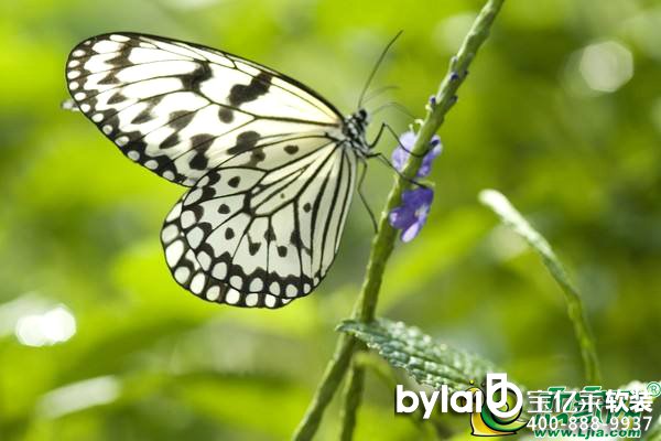 ܛ�b�^���ˣ������w�衤�A��֮�s �ڶ����ͺ����Ђ����������ˣ�