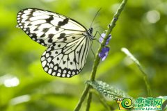 ܛ�b�^���ˣ������w�衤�A��֮�s �ڶ����ͺ����Ђ�(g��)���������ˣ�