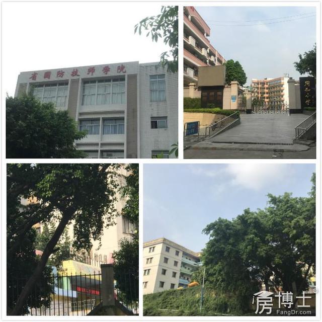 ���ƅ^(q��)�ıP�������V�ݴ������Kӭ�������F�� : ��(j��ng)���˷���