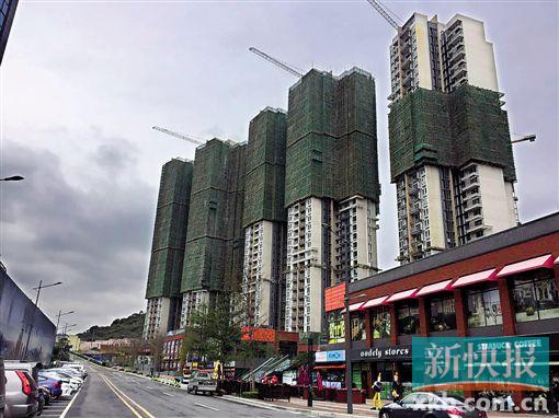 Խ���ǅR�Ƴ����[��ɽ�|´���Ђ���