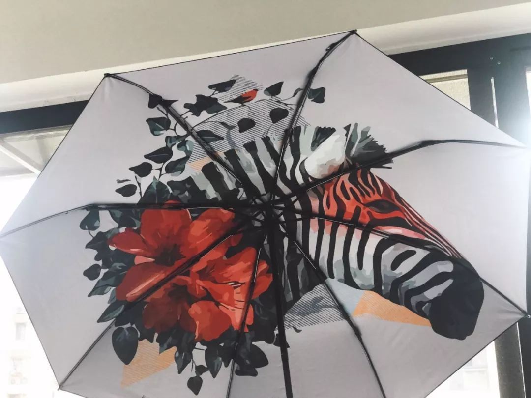 ���|�R�Ҿߡ����ⷿ��ļҾ��䲻���ҵ��ļ��ס�