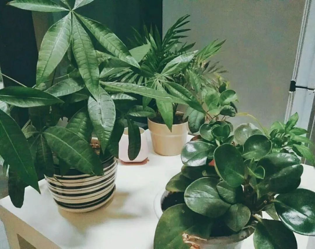 ���|�R�Ҿߡ����ⷿ��ļҾ��䲻���ҵ��ļ��ס�