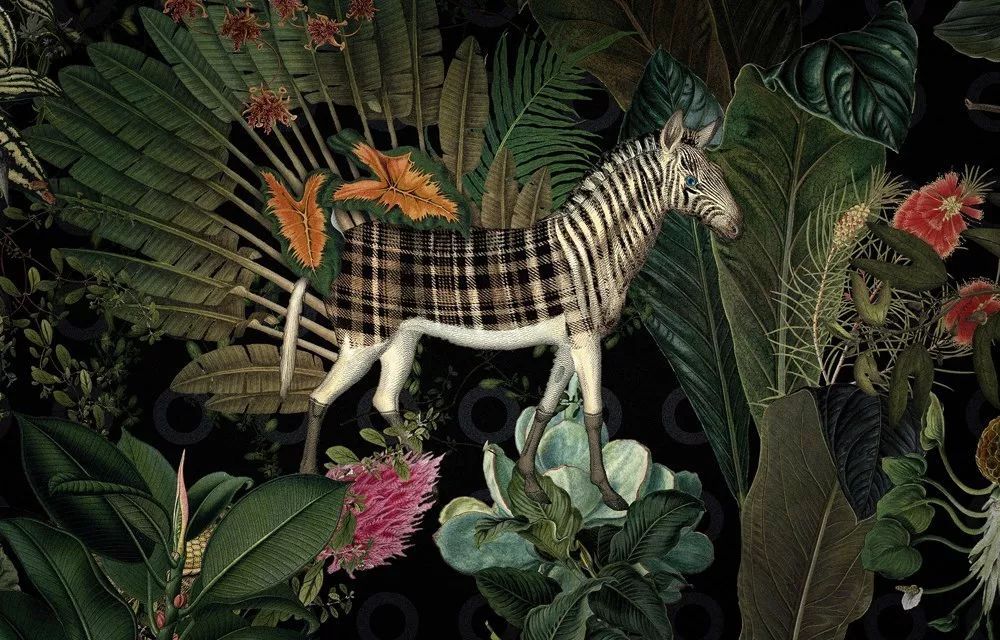 ���|�R�Ҿ�2018���m�Ҿ�չ���x